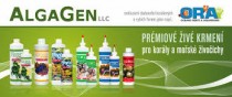 PhycoPure Greenwater,-zelená riasa na kŕmenie a redukcii NO3, PO4 a kovov