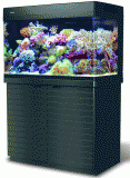 Red Sea Max 250 Complete Reef system