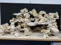 RPB - Reef pilier široký