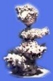 RPT - reef pilier s Tunze krytom
